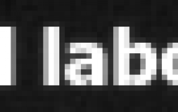 Blox  Fruits