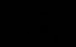 Dylzz staff