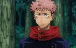 Shdc Animes