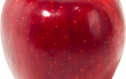 Fruit tierlist