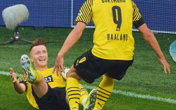 Dortmund Tierlist