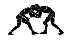 Wrestling Themes