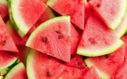 T-Doll Melon Sizes (For average size and up)