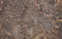Mud
