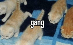 Uga Uga