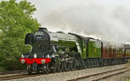 Steam locomotives