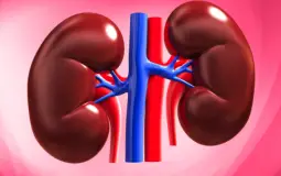 organs ranking