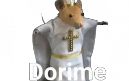 meus amigui