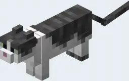 Minecraft Cats