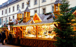 ნაძვები