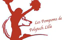 Bureau Pompom Polytech Lille