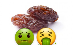 dried fruit