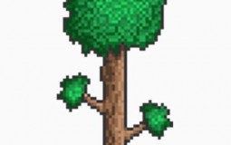 Survival Games
