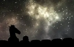 BoJack Horseman Episode Ranked