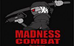 Madnes combat