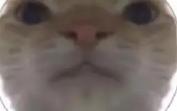 Mancare Si Suc