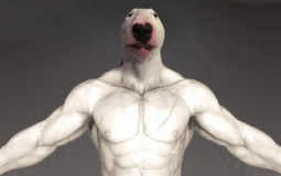 Smash or pass