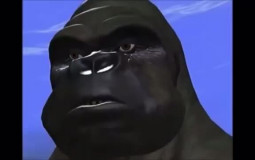 people of discord
