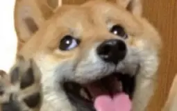 rdgdrgfr