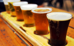 Brews and Review S1