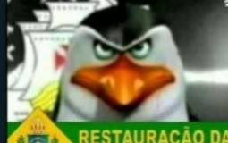 Etec professores