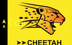 Cheetahs