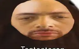 docenten