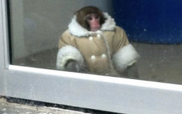 definitely un definitive ranking of at looks