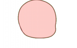 Colors
