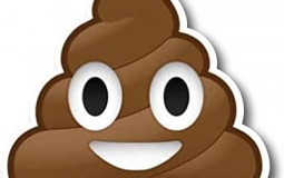 Current NA Player list