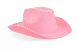 Celebrities Wearing Pink Cowboy Hats