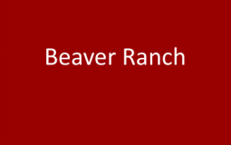 Conifer Running Locations