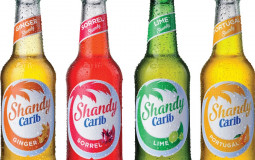 Shandy and Ginseng Taste Tier List