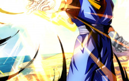 DBZ Saiyan Saga Fighters