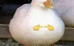 Игрок
