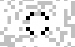 www