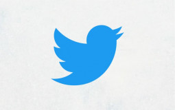 Usernames (@)