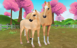 Horse Breeds