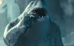 Sharks?
