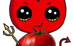 Pipou de gc