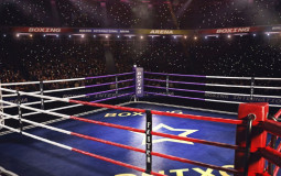 BOXER TIER LIST