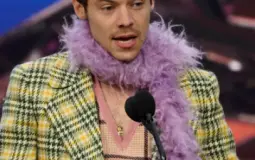 harry styles bops