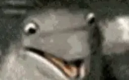 thp