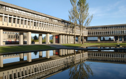 SFU Food