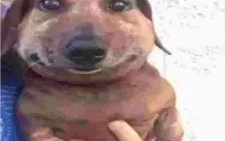 Учителя