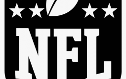 Ranking NFL Fanbases
