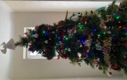 Christmas Songs