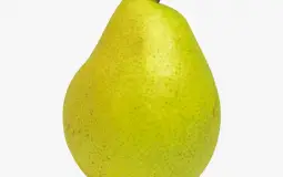 Pawnstars Ranking