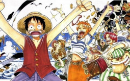 arcos de one piece