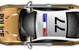 NT cars